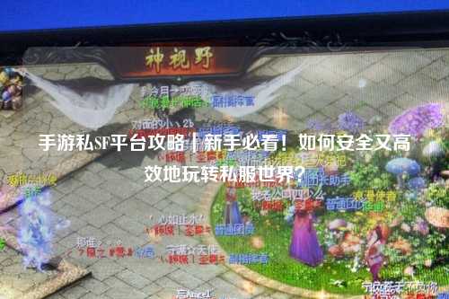 手游私SF平台攻略｜新手必看！如何安全又高效地玩转私服世界？